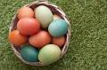 basket_of_colouredeaster__eggs