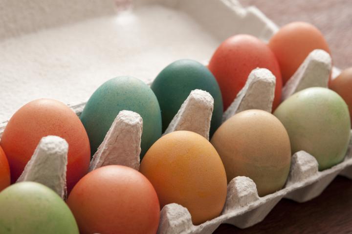 easter_real_eggs.jpg - Cardboard carton of colorful dyed Easter eggs homemade in the old tradition in a close up view with copy space for your seasonal greeting