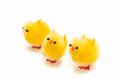 three_easter_chickens