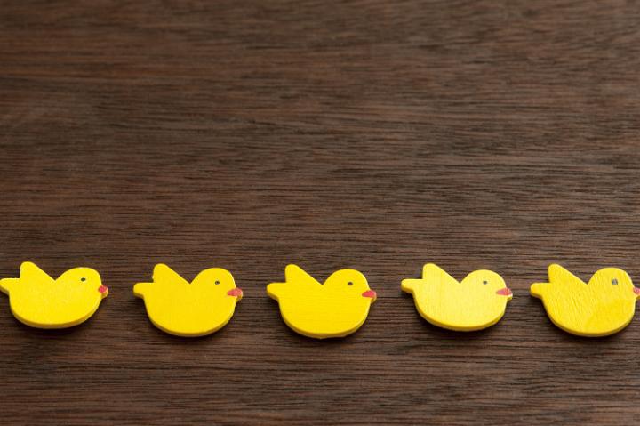 line_of_chickens.jpg - Top view of line of yellow decorative easter chicks on brown wooden surface. Copy space