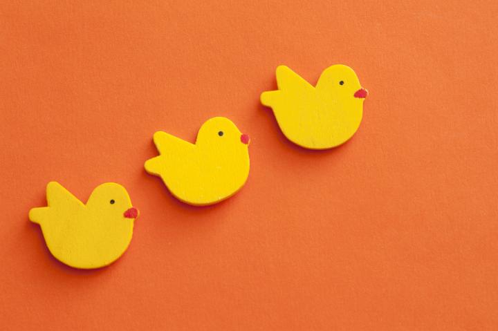 easter_chicken_bakground.jpg - Colorful Easter background with yellow chicks arranged in a diagonal line over an orange surface with copy space for your greeting