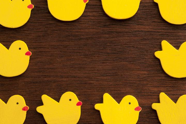 easter_chicken_frame.jpg - Colorful Easter border of little yellow chicks forming a frame around central copy space on wood for your card or greeting