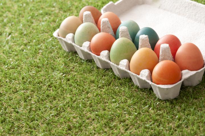coloured_eggs.jpg - Cardboard carton full of colorful dyed hard boiled Easter eggs on neat short green spring grass with copy space for your greeting