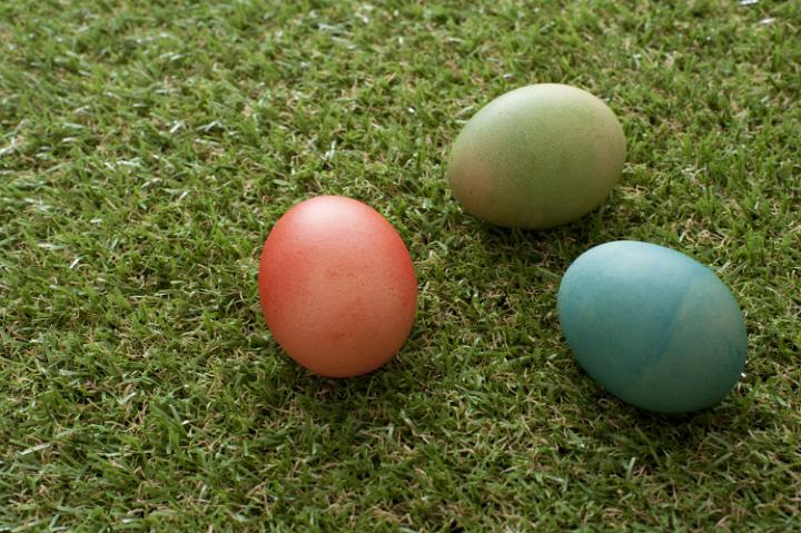 easter_coloured_eggs.jpg - Three colorful dyed Easter eggs on short neat spring grass with copy space in a festive background to celebrate the holiday