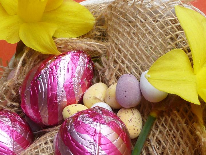 easter_egg_backdrop.jpg - Close-up of chocolate eggs in red foil, small quail eggs candies and yellow daffodil flowers sitting on sack cloth inside the Easter basket for holiday treatment and decoration