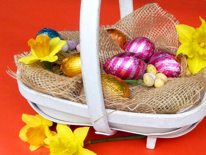 easter_basket_red.jpg - Small basket with a variety of chocolate Easter eggs collected on rustic sack cloth, decorated with fresh daffodils or narcissus flowers, viewed in close-up on red background