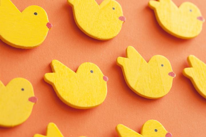 easter_duck_backdrop.jpg - Bright yellow Easter chick background on orange with colorful little chickens scattered randomly in an angled view