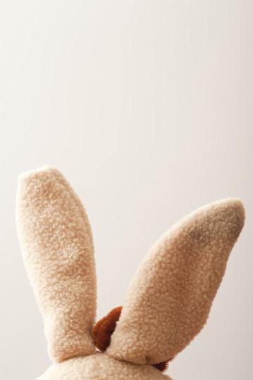 rabbit_ears.jpg - Easter bunny rabbit ears with a close up view on a fluffy plush stuffed toy over white with copy space for your seasonal greeting