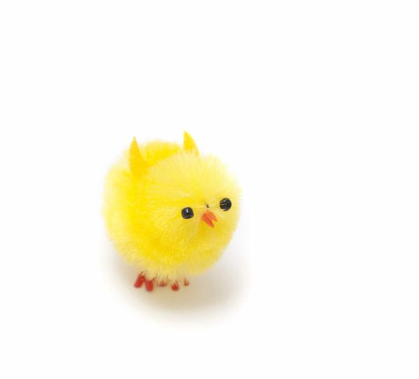 spring_chick.jpg - Yellow, tiny chick toy on white background
